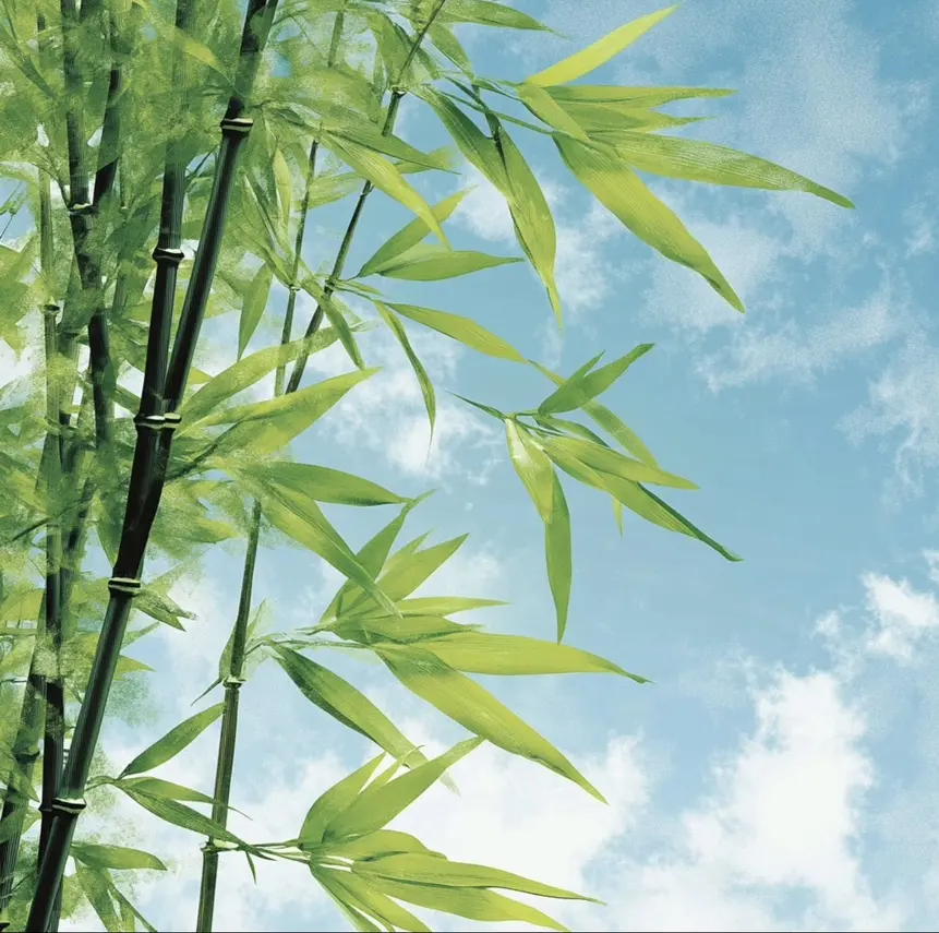 免费在线阅读《检察官室的提案》全本无删减小说-检察官室的提案txt资源免费下载-高清阅读体验