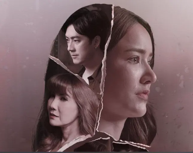 韩国电影《继母》高清完整版在线看_《继母》无删减2HD中字在线免费观看-YY影视