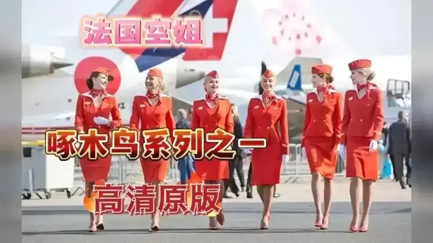 《法国空姐2019/不雅空乘》1080P原片国语中字免费观看｜完整资源｜《法国空姐2019/不雅空乘》无删在线观看｜职场尊严与私人情感激烈碰撞
