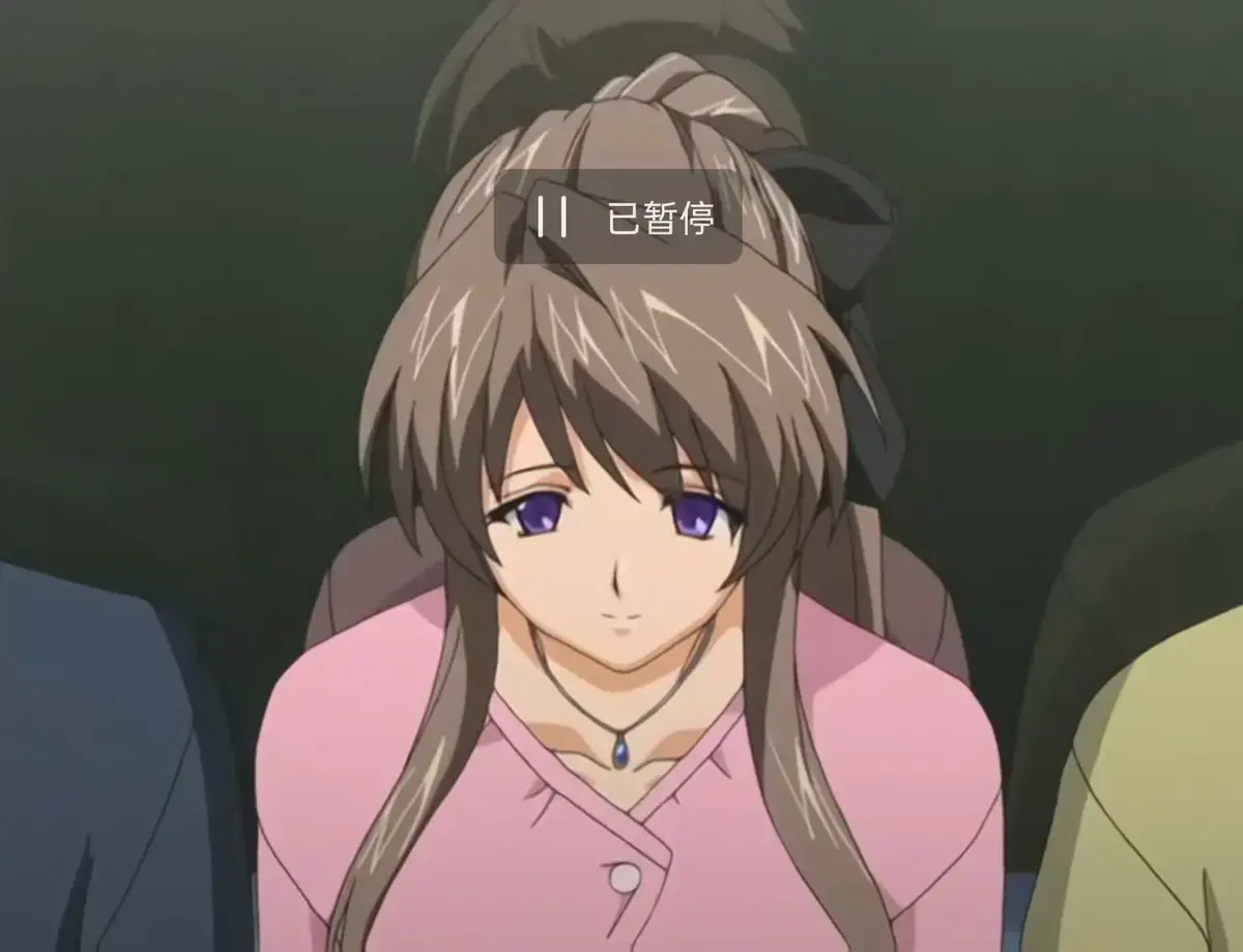 《电车调书》