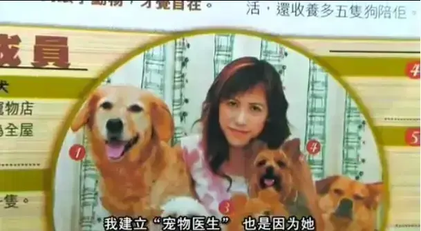 免费看欧美大片《女人与狗》中字全集-《女人与狗》高清画质流畅观影-无广告在线播放-网盘资源轻松获取