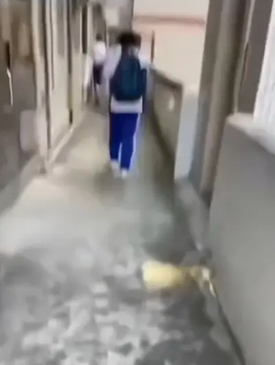 《大昌市第七中学》教室走廊现诡异身影，4K高清无删减免费看，同步分享绝密调查档案，点击即看！
