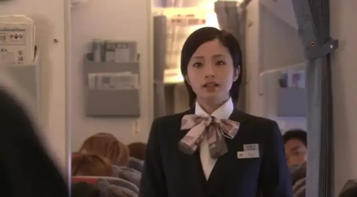 《空姐丑闻》